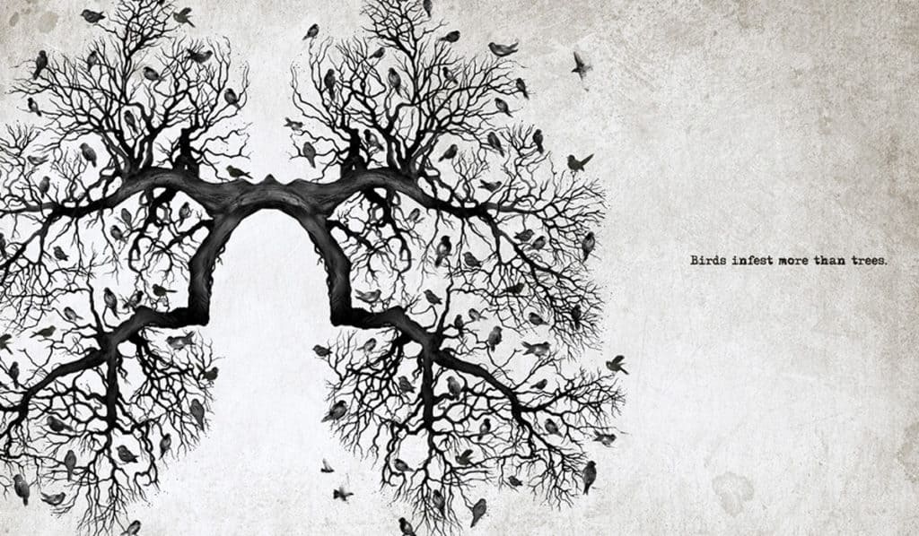 Histodisease.org campaign image: birds in trees